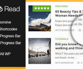 plugins - mts wp time to read 270x225