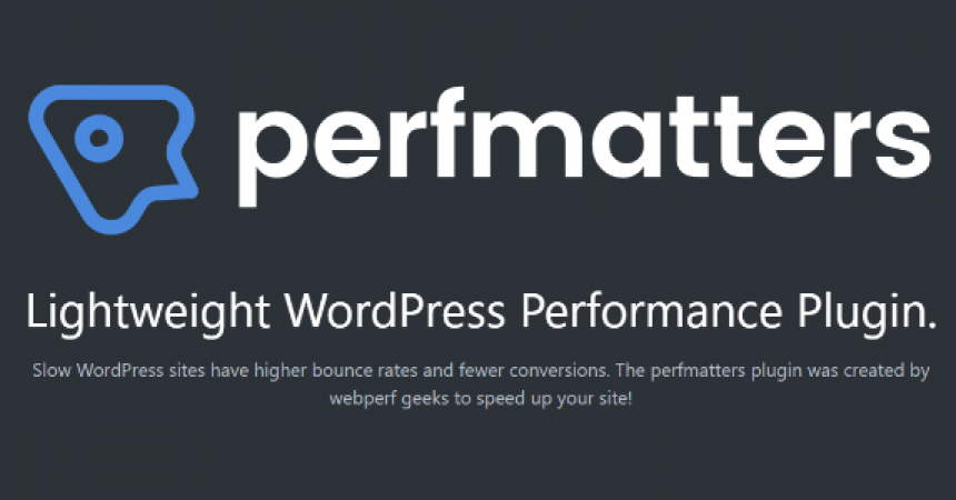 plugins - perfmatters 860x450