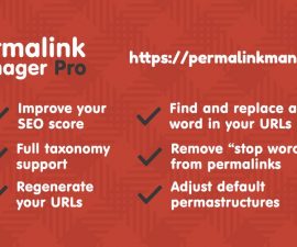 plugins - permalink manager pro 270x225