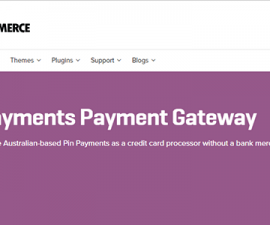 plugins - pin payments 270x225