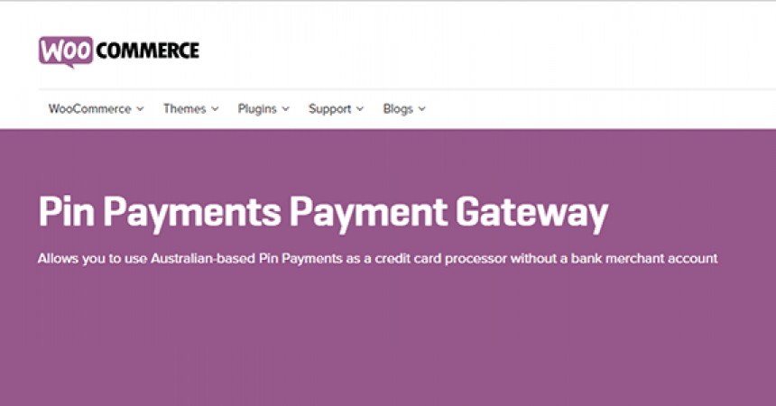 plugins - pin payments 860x450