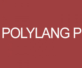plugins - polylang pro 270x225