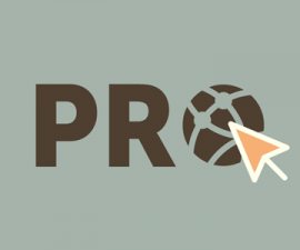 plugins - pro sites 270x225