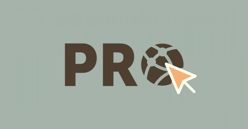plugins - pro sites 860x450