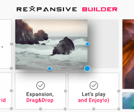 plugins - rexpansive builder 270x225