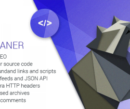 plugins - seo cleaner 270x225