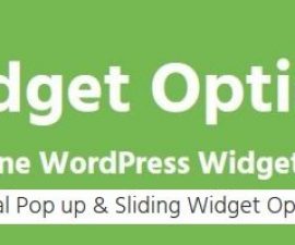 plugins - sliding widget options 500x199 270x225