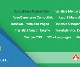 plugins - slim translate 270x225