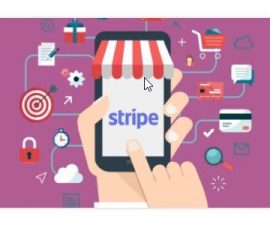 plugins - stripe 1 270x225