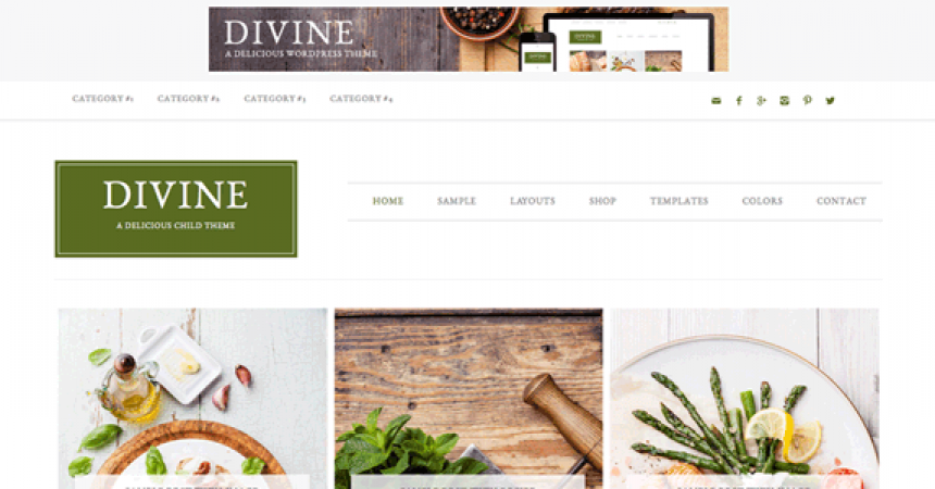 plantillas - studiopress divine theme 860x450