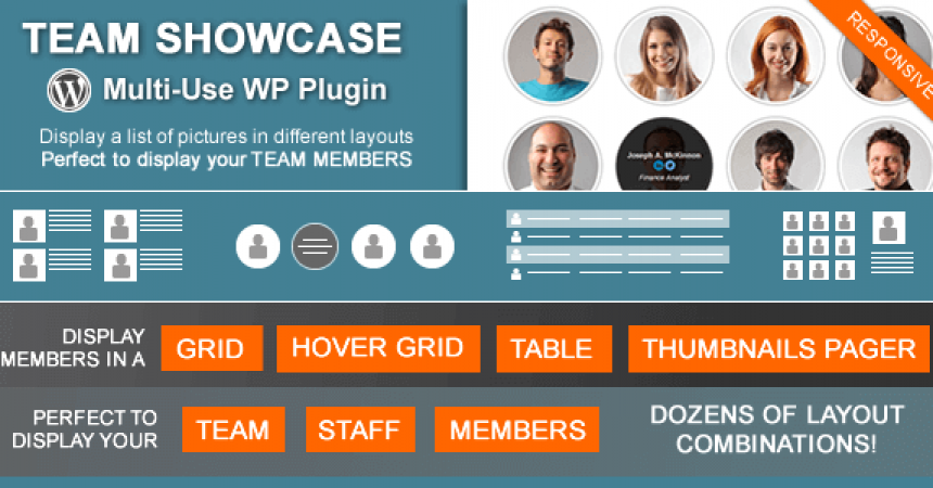 plugins - team showcase 860x450