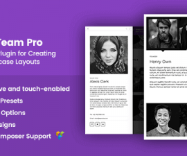plugins - the team pro 270x225