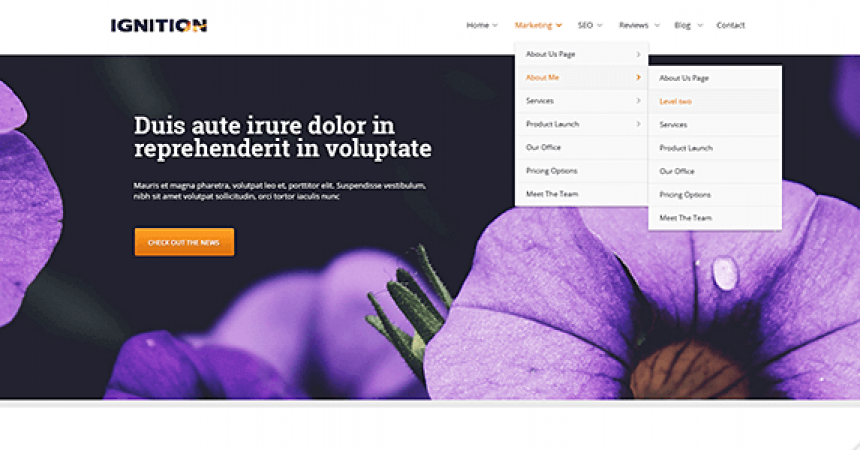 plantillas - thrive themes ignition 860x450