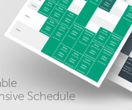 plugins - timetable responsive schedule for wordpress 270x225