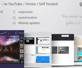 plugins - video gallery 270x225