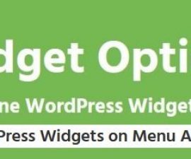 plugins - widgets on menu addon 500x199 270x225