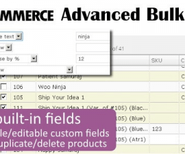 plugins - woocommerce advanced bulk edit 270x225
