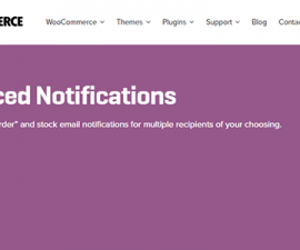 plugins - woocommerce advanced notifications 270x225