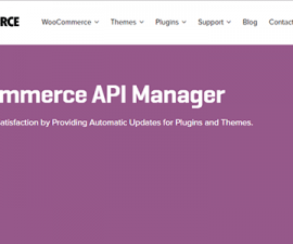 plugins - woocommerce api manager 270x225