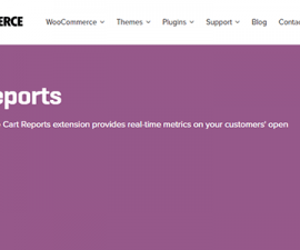 plugins - woocommerce cart reports 270x225
