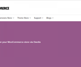 plugins - woocommerce dwolla 270x225