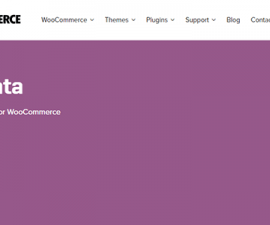 plugins - woocommerce firstdata 270x225