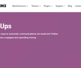 plugins - woocommerce follow up emails 270x225