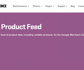 plugins - woocommerce google product feed 270x225