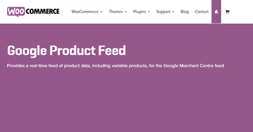plugins - woocommerce google product feed 860x450