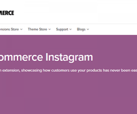 plugins - woocommerce instagram 270x225