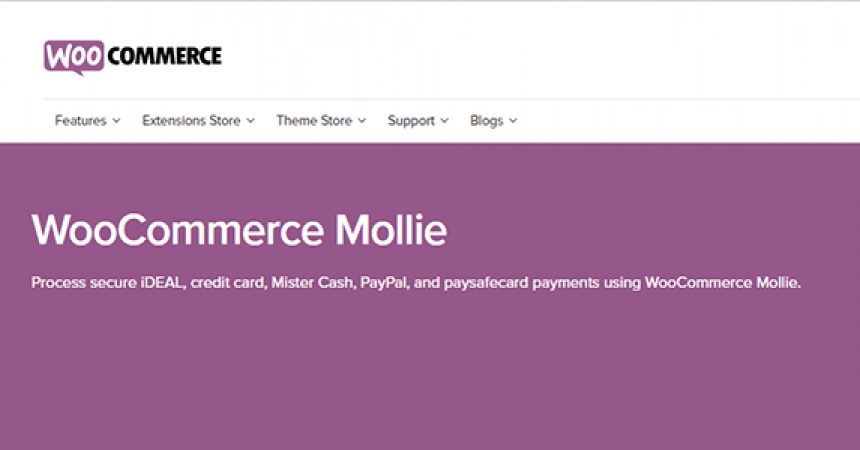 plugins - woocommerce mollie 860x450