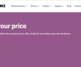 plugins - woocommerce name your price 270x225