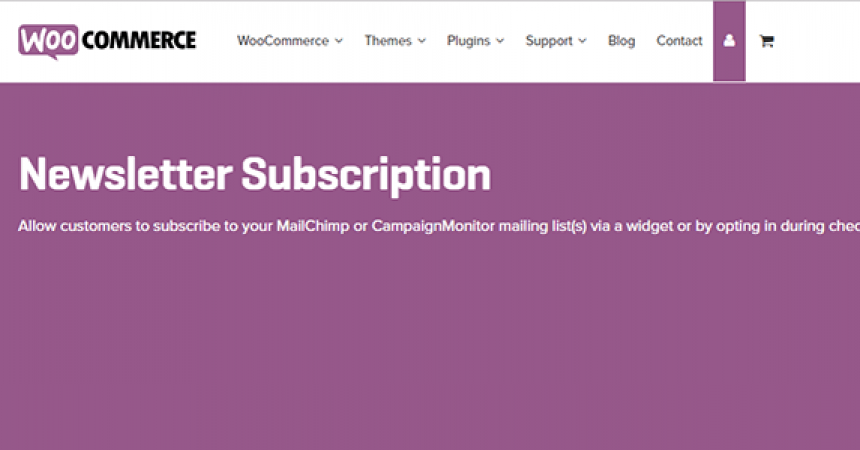 plugins - woocommerce newsletter subscription 860x450