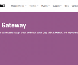 plugins - woocommerce paymill gateway 270x225