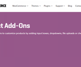 plugins - woocommerce product add ons 1 270x225