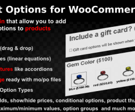 plugins - woocommerce product options preview 270x225