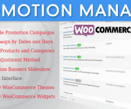 plugins - woocommerce promotion manager 270x225