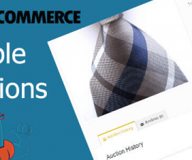 plugins - woocommerce simple auctions 270x225