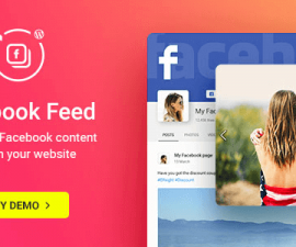 plugins - wordpress facebook plugin 270x225
