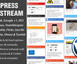 plugins - wordpress social stream 270x225
