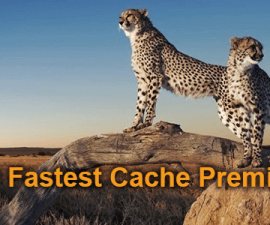 plugins - wp fastest cache premium 270x225