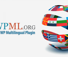 plugins - wpml 270x225