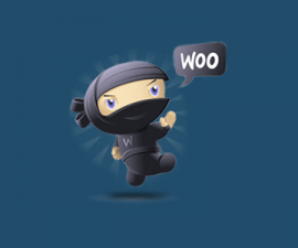 plugins - wprs woocommerce 270x225