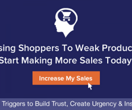 plugins - xl woocommerce 270x225