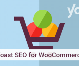 plugins - yoast seo for woocommerce 270x225